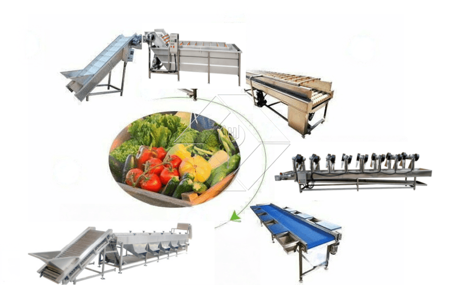 全自动果蔬清洗烘干分级线的处理能力一般在300kg/H~3000kg/H之间。 全自动果蔬清洗烘干分级线的处理能力一般在300kg/H~3000kg/H之间。