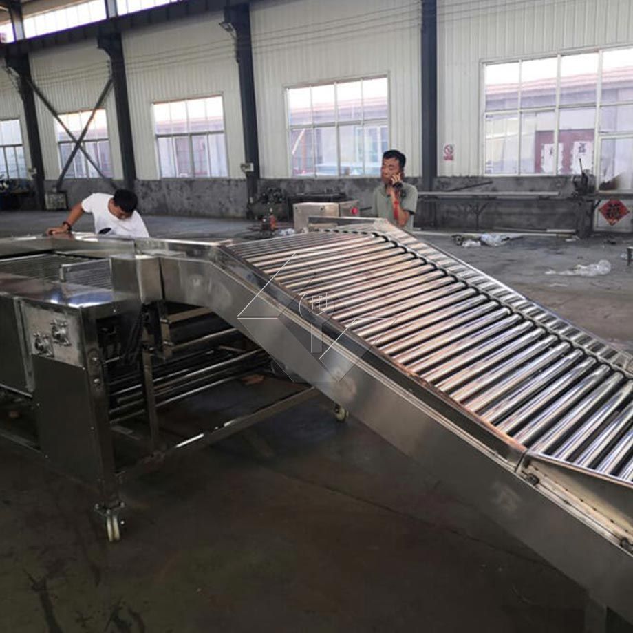 全自动果蔬清洗烘干分级线的处理能力一般在300kg/H~3000kg/H之间。 全自动果蔬清洗烘干分级线的处理能力一般在300kg/H~3000kg/H之间。