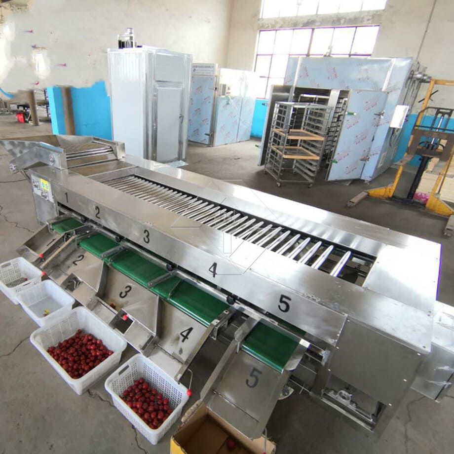 全自动果蔬清洗烘干分级线的处理能力一般在300kg/H~3000kg/H之间。 全自动果蔬清洗烘干分级线的处理能力一般在300kg/H~3000kg/H之间。