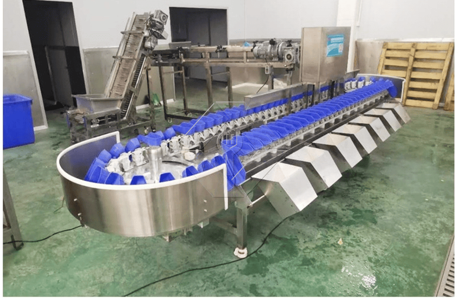 全自动果蔬清洗烘干分级线的处理能力一般在300kg/H~3000kg/H之间。 全自动果蔬清洗烘干分级线的处理能力一般在300kg/H~3000kg/H之间。