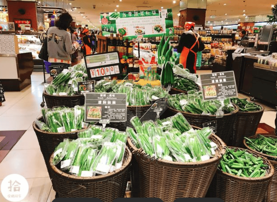 蔬菜沙拉生产线|生菜加工厂 蔬菜沙拉生产线|生菜加工厂