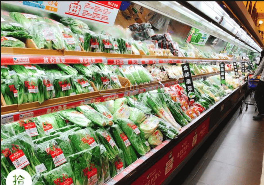 蔬菜沙拉生产线|生菜加工厂 蔬菜沙拉生产线|生菜加工厂