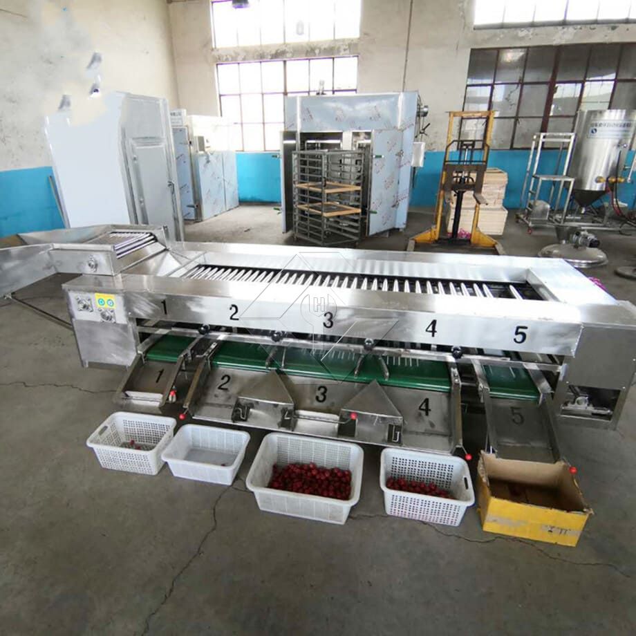 全自动果蔬清洗烘干分级线的处理能力一般在300kg/H~3000kg/H之间。 全自动果蔬清洗烘干分级线的处理能力一般在300kg/H~3000kg/H之间。