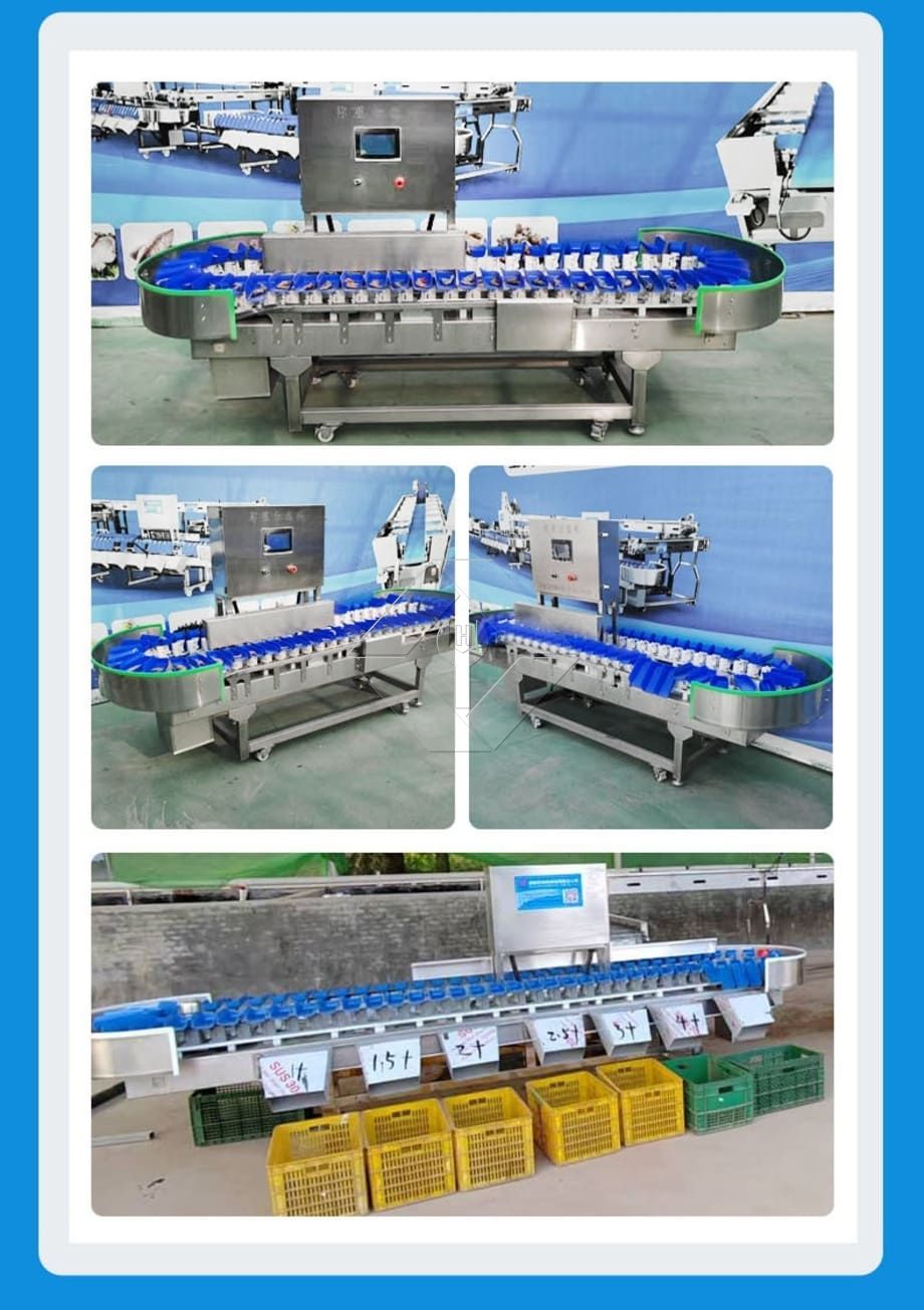 全自动果蔬清洗烘干分级线的处理能力一般在300kg/H~3000kg/H之间。 全自动果蔬清洗烘干分级线的处理能力一般在300kg/H~3000kg/H之间。